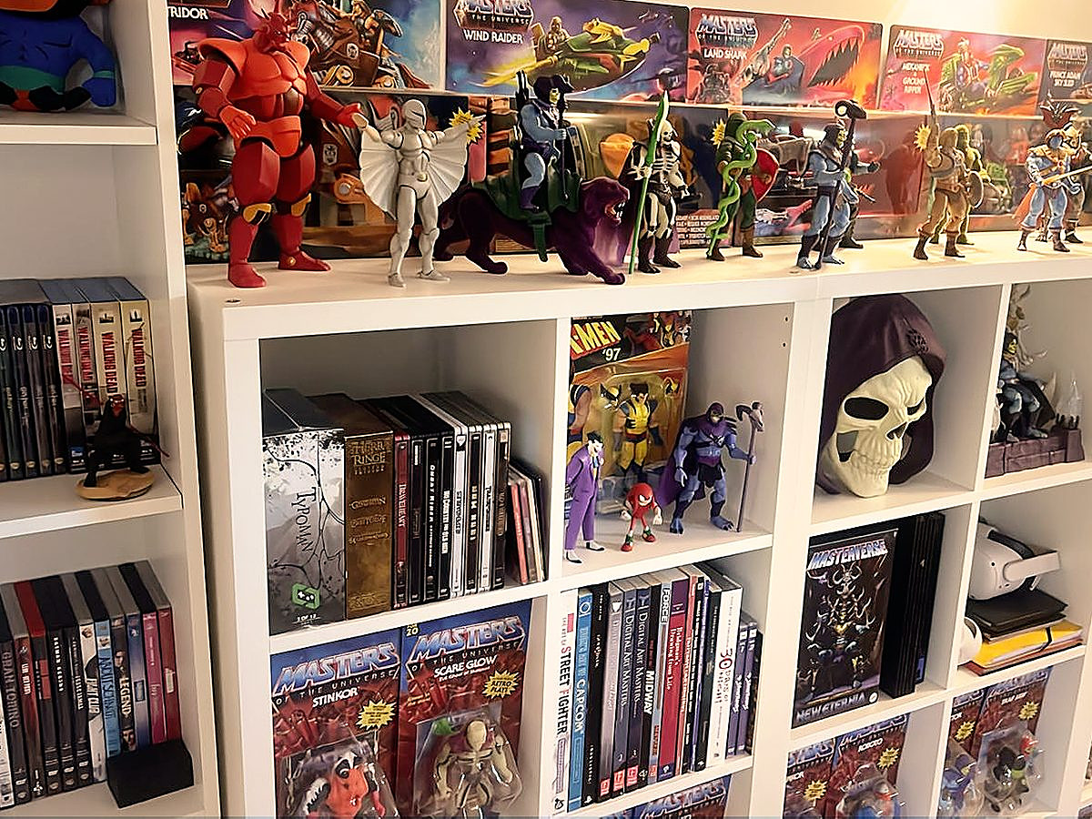 Regal mit Masters-of-the-Universe-Figuren, Filmen und Büchern